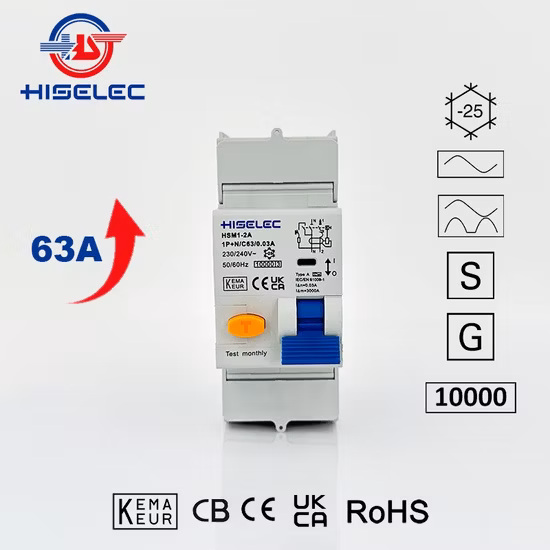 10ka Short-Circuit Breadking Capacity High Quality Electromagnetic RCBO