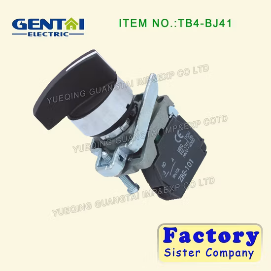 Metal Type Push Button Switch/Pushbutton with 6-380V